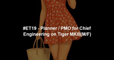 #ET19 - Planner / PMO for Chief Engineering on Tiger MKIII(M/F)