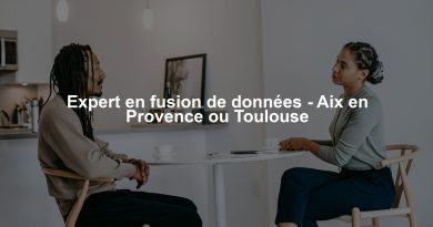 Expert en fusion de données - Aix en Provence ou Toulouse