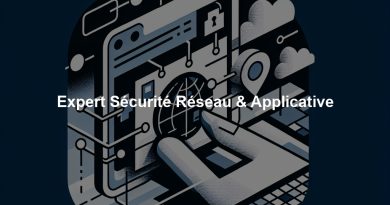 Expert Sécurité Réseau & Applicative