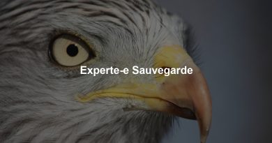 Experte-e Sauvegarde