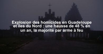 Explosion des homicides en Guadeloupe et îles du Nord : une hausse de 48 % en un an, la majorité par arme à feu