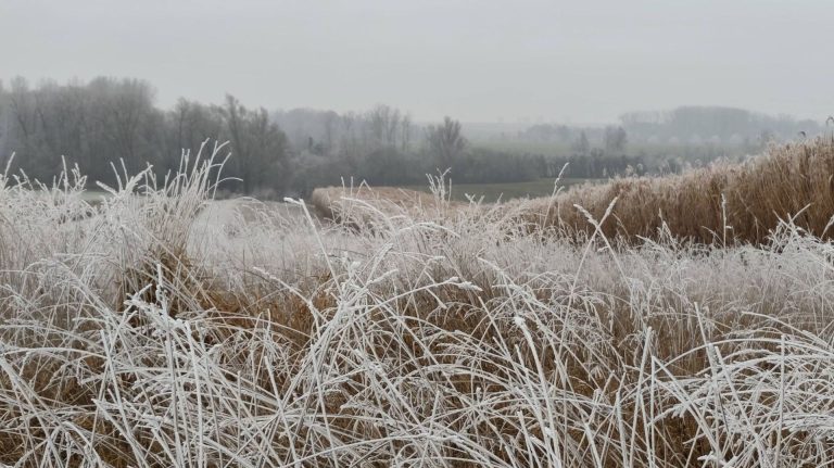 Météo en Belgique : temps variable avant un Nouvel An marqué par une ambiance hivernale