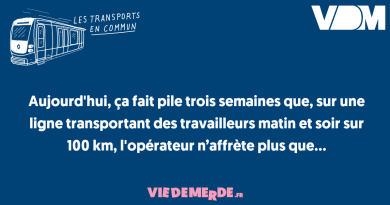 Sardines : un aliment riche en oméga-3 et en protéines à intégrer dans votre alimentation
