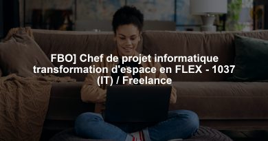 FBO] Chef de projet informatique transformation d'espace en FLEX - 1037 (IT) / Freelance