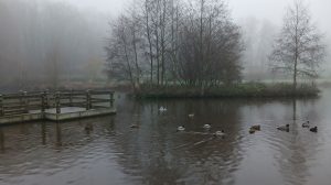 Météo en Belgique : des éclaircies attendues dans plusieurs régions - RTBF Actus