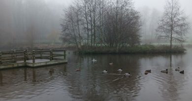 Météo en Belgique : des éclaircies attendues dans plusieurs régions - RTBF Actus