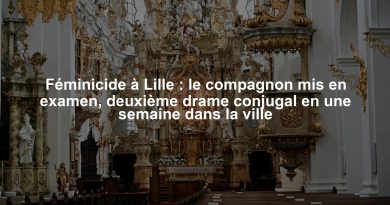 Féminicide à Lille : le compagnon mis en examen, deuxième drame conjugal en une semaine dans la ville