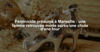 Féminicide présumé à Marseille : une femme retrouvée morte après une chute d'une tour