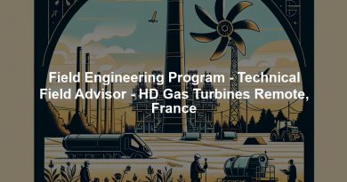 Field Engineering Program - Technical Field Advisor - HD Gas Turbines Remote, France