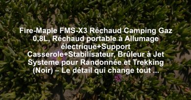 Fire-Maple FMS-X3 Réchaud Camping Gaz 0,8L, Réchaud portable à Allumage électrique+Support Casserole+Stabilisateur, Brûleur à Jet Systeme pour Randonnée et Trekking (Noir) – Le détail qui change tout au quotidien