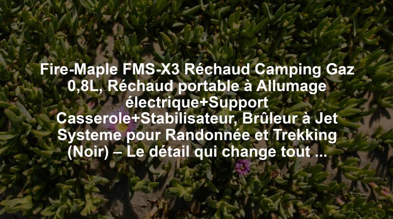 Fire-Maple FMS-X3 Réchaud Camping Gaz 0,8L, Réchaud portable à Allumage électrique+Support Casserole+Stabilisateur, Brûleur à Jet Systeme pour Randonnée et Trekking (Noir) – Le détail qui change tout au quotidien
