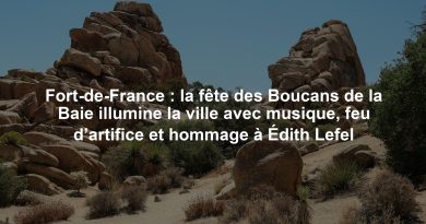 Fort-de-France : la fête des Boucans de la Baie illumine la ville avec musique, feu d’artifice et hommage à Édith Lefel