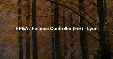 FP&A / Finance Controller (F/H) - Lyon