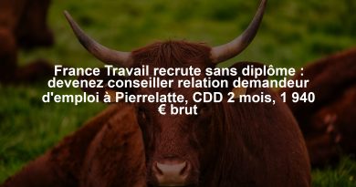 France Travail recrute sans diplôme : devenez conseiller relation demandeur d'emploi à Pierrelatte, CDD 2 mois, 1 940 € brut