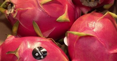 Noël : des producteurs français proposent des fruits exotiques pour les fêtes