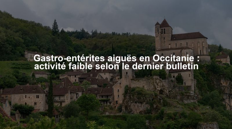 Gastro-entérites aiguës en Occitanie : activité faible selon le dernier bulletin