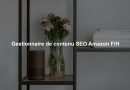 Gestionnaire de contenu SEO Amazon F/H