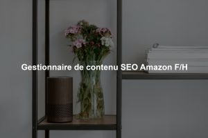 Gestionnaire de contenu SEO Amazon F/H