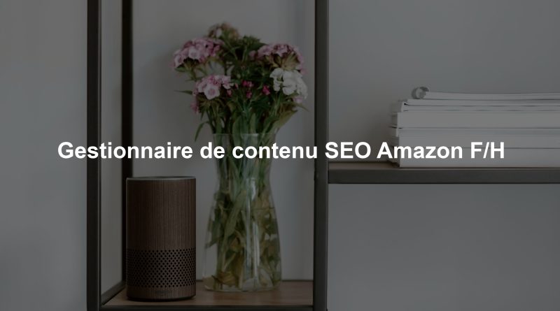 Gestionnaire de contenu SEO Amazon F/H