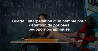 Gilette : Interpellation d'un homme pour détention de poupées pédopornographiques