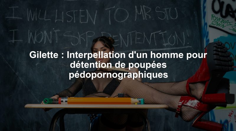 Gilette : Interpellation d'un homme pour détention de poupées pédopornographiques