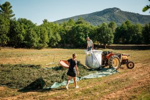Les Grands Sites de France promeuvent une agriculture durable et de qualité environnementale