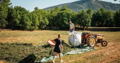 Les Grands Sites de France promeuvent une agriculture durable et de qualité environnementale