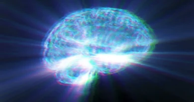 ADHD : Les médicaments stimulants n’agissent pas sur l’attention comme on le pensait, révèle une étude majeure Les médicaments contre le TDAH n’agissent pas comme on le pensait jusqu’ici