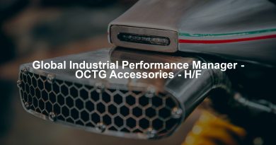 Global Industrial Performance Manager - OCTG Accessories - H/F