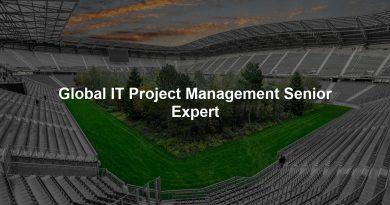 Global IT Project Management Senior Expert