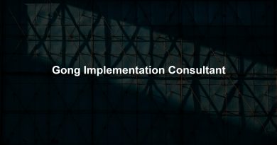 Gong Implementation Consultant