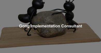 Gong Implementation Consultant