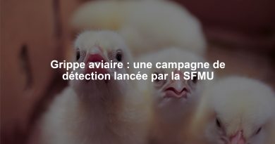 Grippe aviaire : une campagne de détection lancée par la SFMU