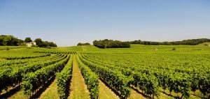 Terclim : 16e Congrès international du terroir à l'ESA, École supérieure des agricultures