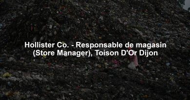 Hollister Co. - Responsable de magasin (Store Manager), Toison D'Or Dijon