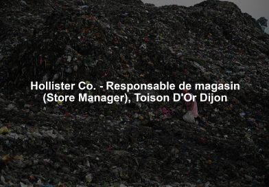 Hollister Co. – Responsable de magasin (Store Manager), Toison D’Or Dijon Hollister Co. - Responsable de magasin (Store Manager), Toison D'Or Dijon