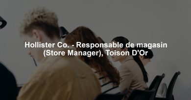 Hollister Co. - Responsable de magasin (Store Manager), Toison D'Or