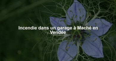 Incendie dans un garage à Maché en Vendée