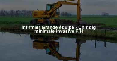 Infirmier Grande équipe - Chir dig minimale invasive F/H