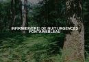 INFIRMIER(ERE) DE NUIT URGENCES FONTAINEBLEAU