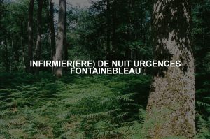 INFIRMIER(ERE) DE NUIT URGENCES FONTAINEBLEAU