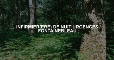 INFIRMIER(ERE) DE NUIT URGENCES FONTAINEBLEAU