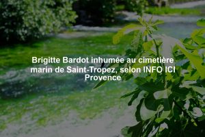 Brigitte Bardot inhumée au cimetière marin de Saint-Tropez, selon INFO ICI Provence