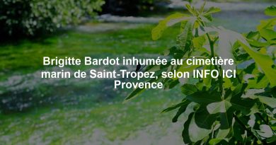 Brigitte Bardot inhumée au cimetière marin de Saint-Tropez, selon INFO ICI Provence