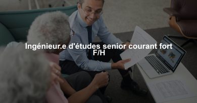 Ingénieur.e d'études senior courant fort F/H