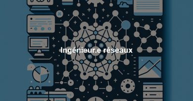 Ingénieur.e réseaux