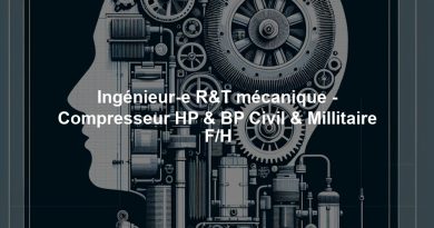 Ingénieur-e R&T mécanique - Compresseur HP & BP Civil & Millitaire F/H