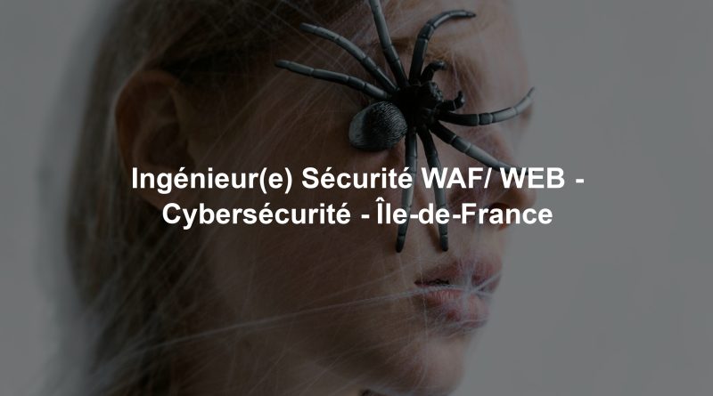 Ingénieur(e) Sécurité WAF/ WEB - Cybersécurité - Île-de-France