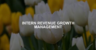 INTERN REVENUE GROWTH MANAGEMENT