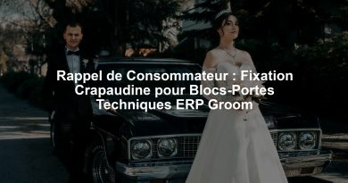 Rappel de Consommateur : Fixation Crapaudine pour Blocs-Portes Techniques ERP Groom